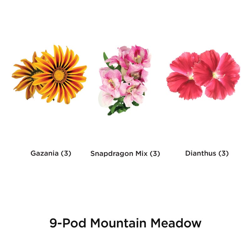 Mountain Meadow Seed Pod Kit image number null